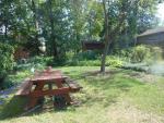 This shows another view of the left side of the back yard and the tree, and the picnic table.